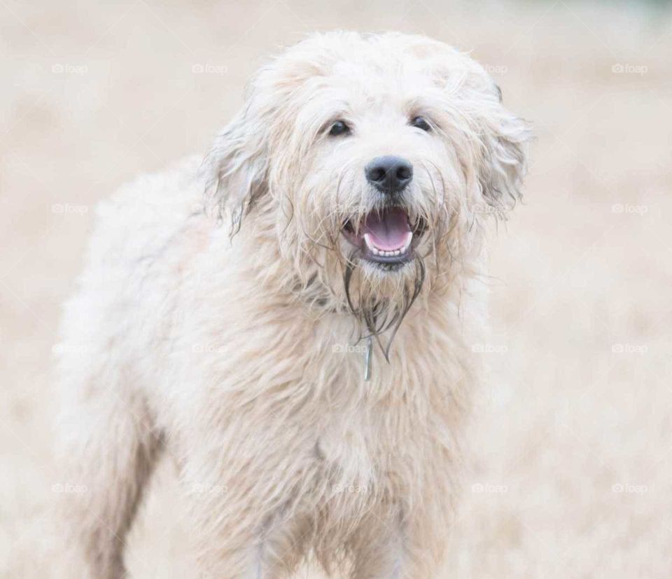 enhpying the outdoors