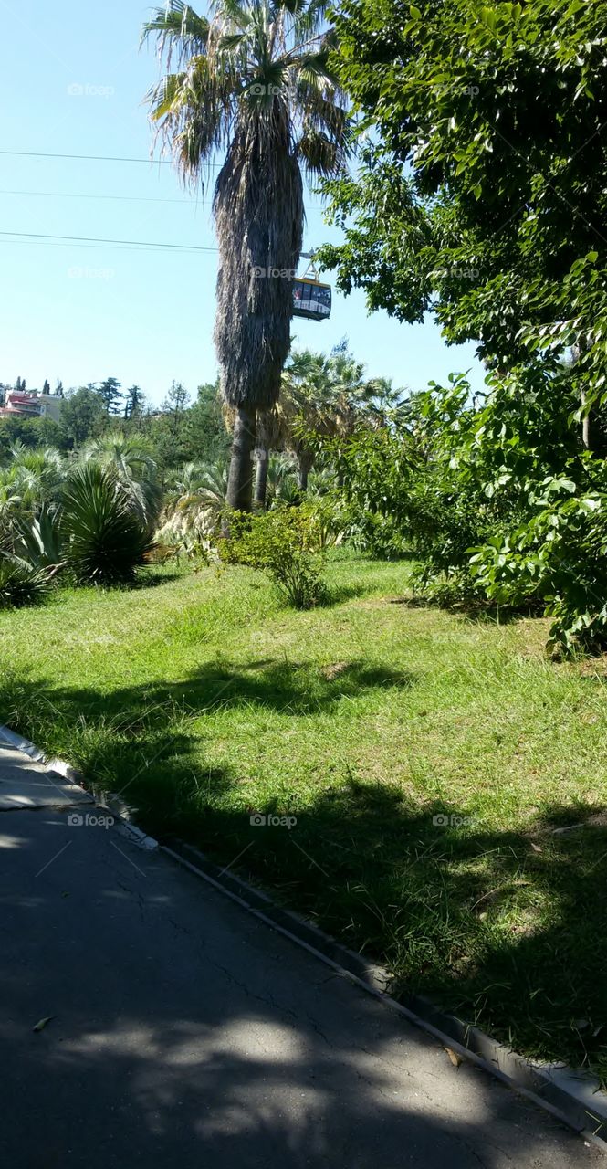 Botanical garden Arboretum in Sochi