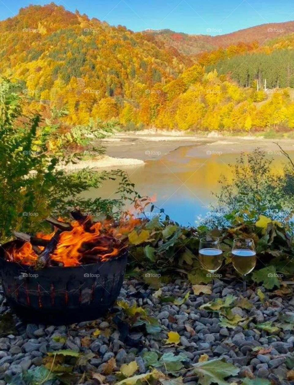 Enchanced lens: exploring the magic forest mission