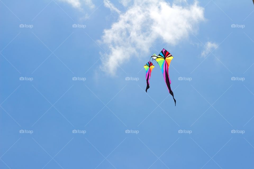 Kite playing in Thamaharaj Bant