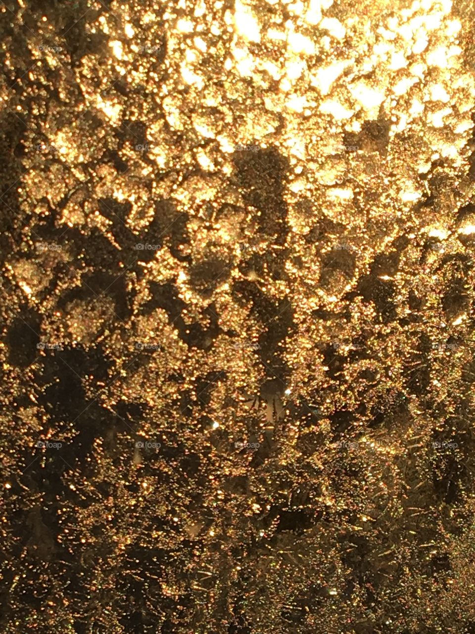 Sun shining through frost