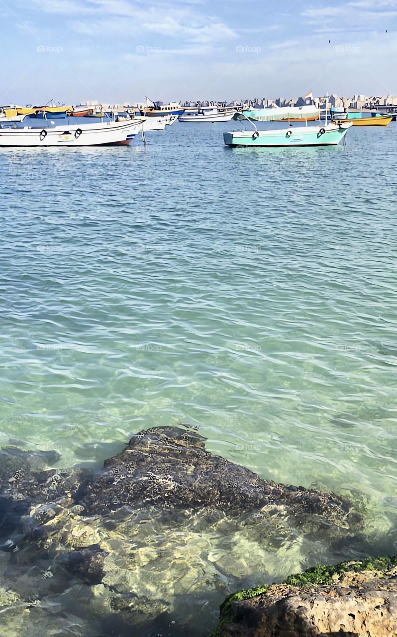 Alexandria’s Boats