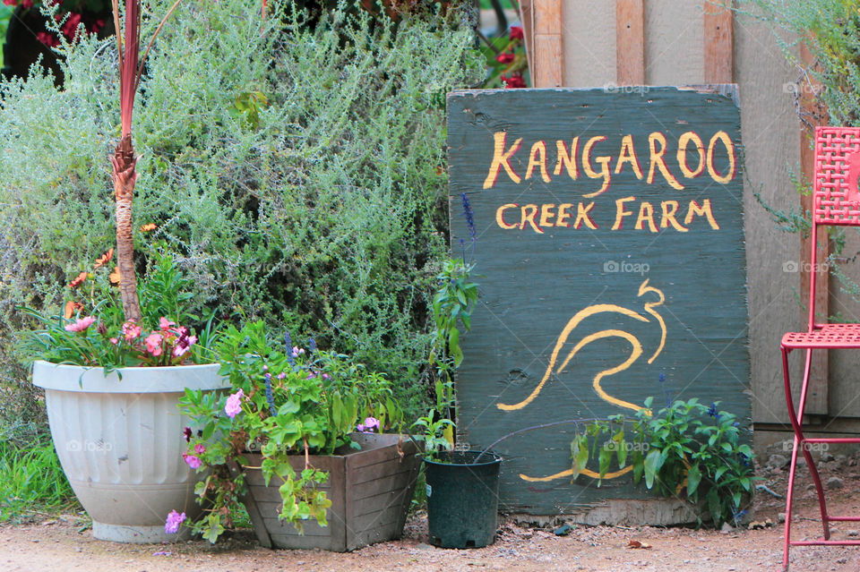 Summer vacation in Kelowna involved a trip to the Kangaroo Creek Farm; a hands on farm filled with Australian & New Zealand unique fauna; & not just Kangaroos. This is a shot of the sign at the barn that harboured the reptiles and arachnids. 🕷