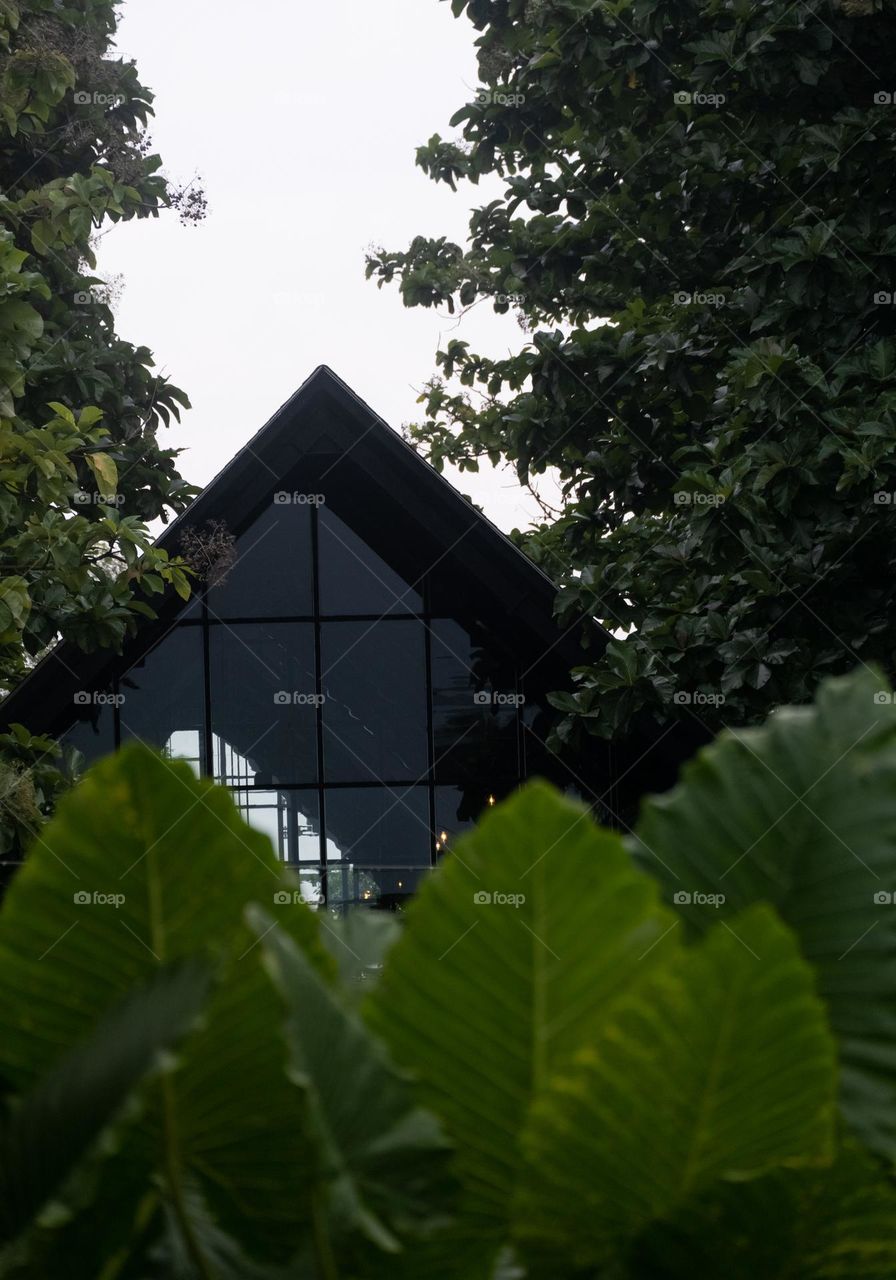 building among the lush trees