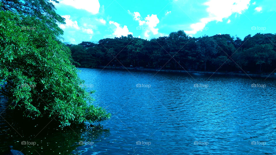 Captured the beautiful view of crystal clear blue water Lake surrounded by trees.