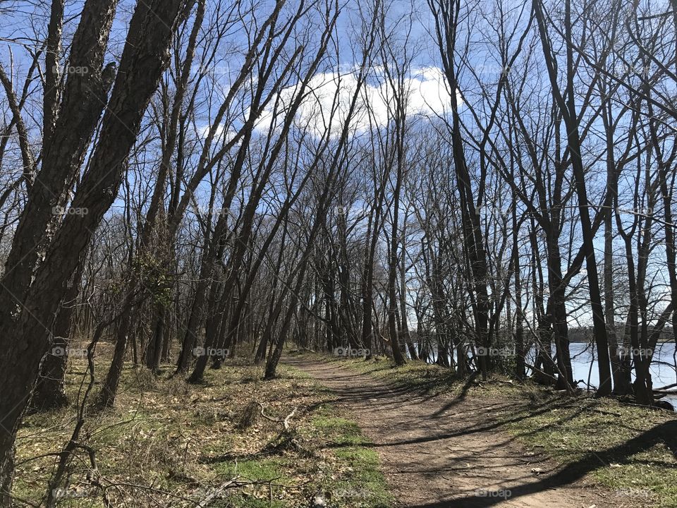 Beautiful day. Beautiful trail.