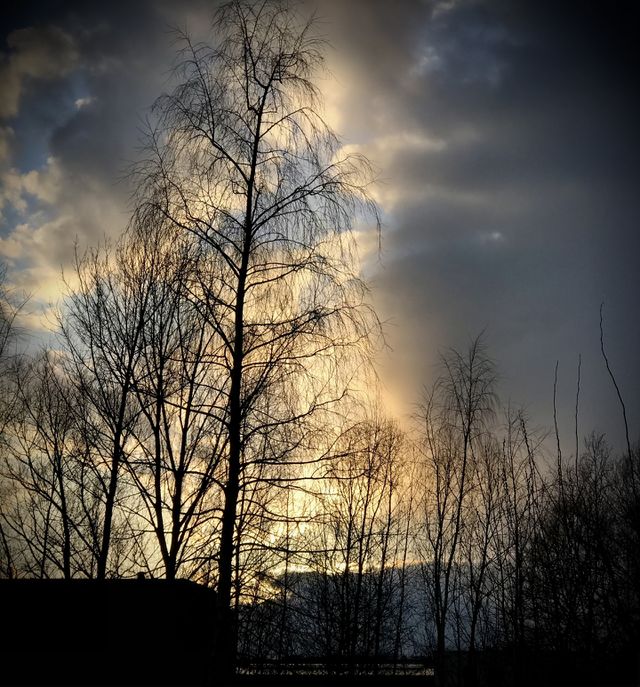 Golden sky