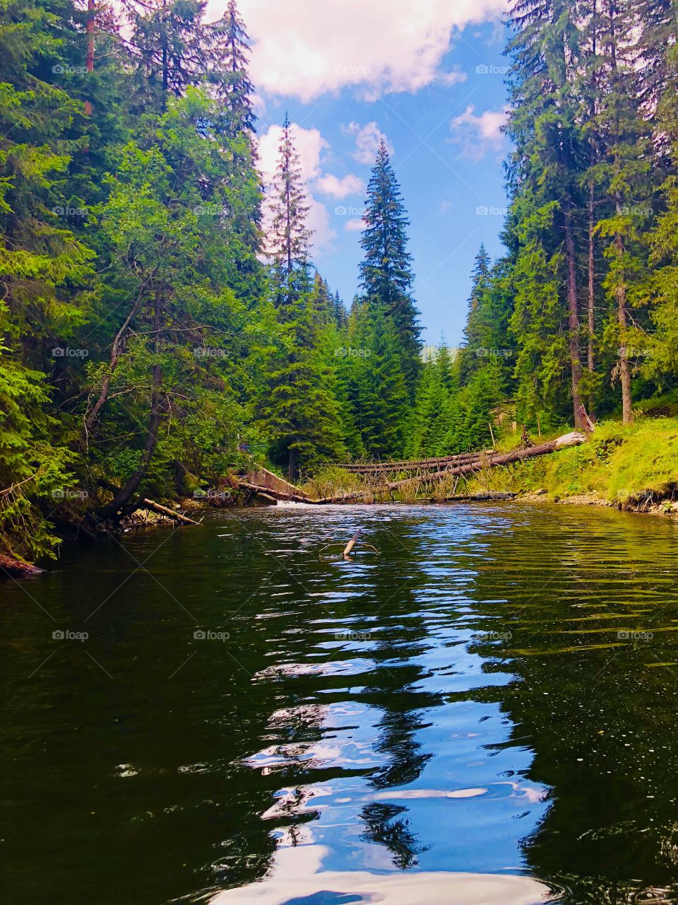 It's beautiful in Bulgaria!