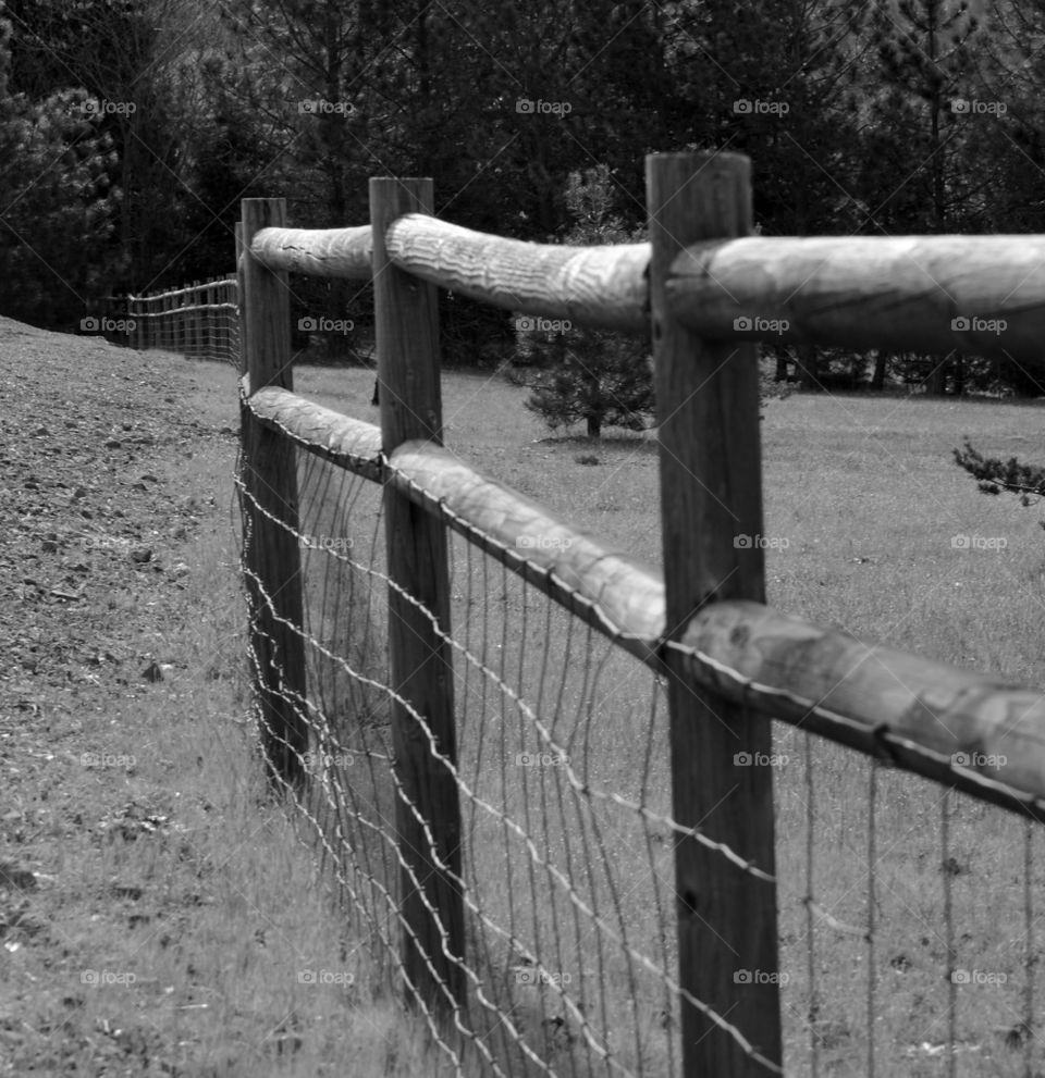 Close-up of fence