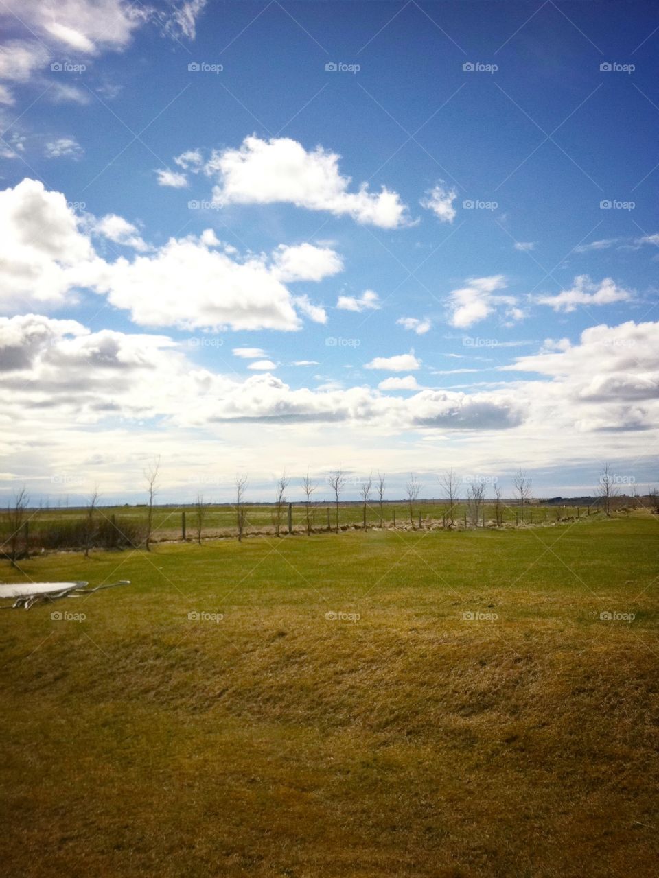 When this is your backyard summer is a gift.