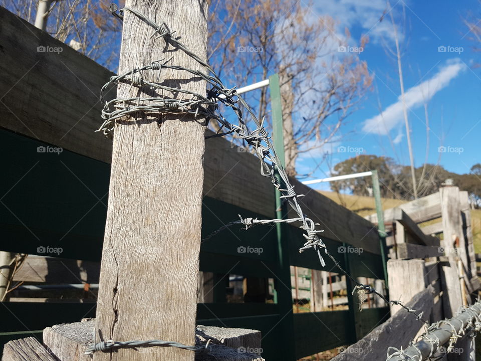 Barbed wire on Wood