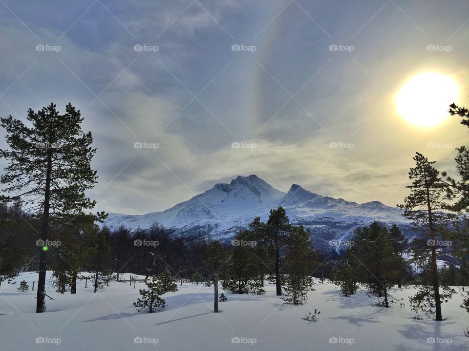 Narvik - Northnorway