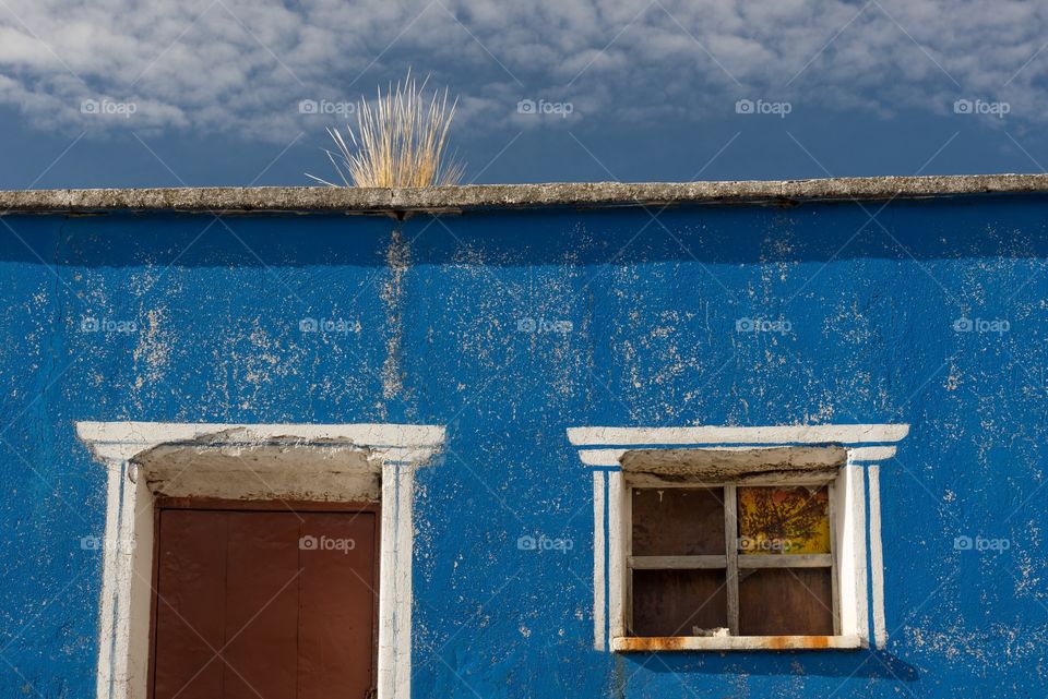 Colorful abandoned blue house with grass on the roof . Section of an abandoned blue house with white door and window frames and grass growing on roof