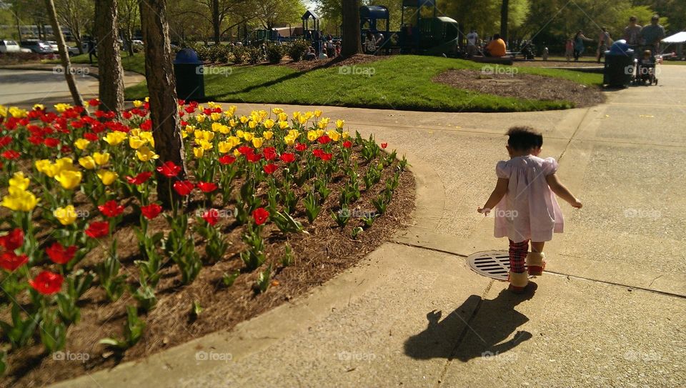 Beautiful Tulip and my little girl . visited Beautiful Park 