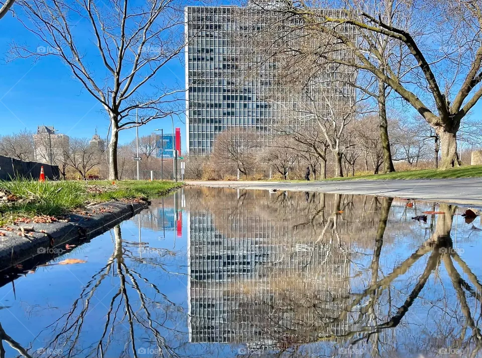 Reflection 