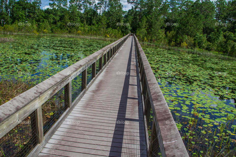 Boardwalk