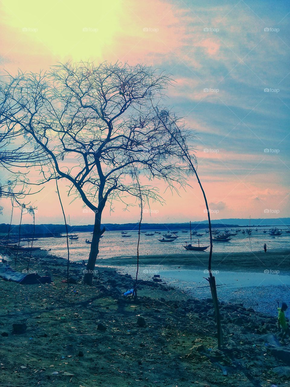 tree, boat, sky, man & sunset