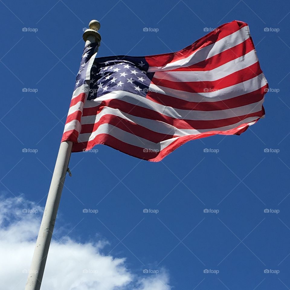 Old Glory flying high in our front yard 🇺🇸😊