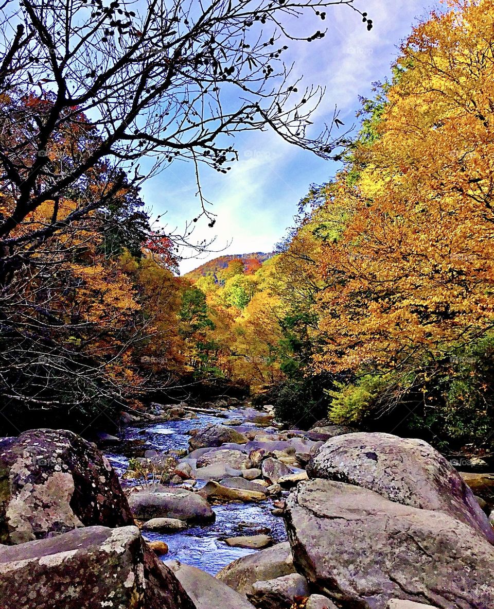 Battle: Summer vs Fall - Get up close and personal with the breathtaking and colorful leaves as you surround yourself with them on a hike. There’s nothing like strolling on a path by the stream blanketed by red, orange and yellow leaves. 