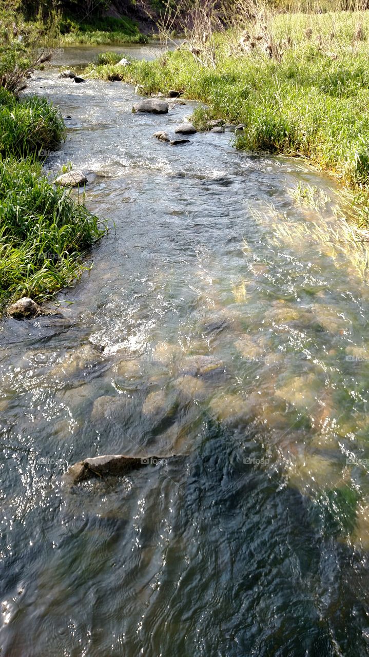 Water, Stream, River, Nature, Flow
