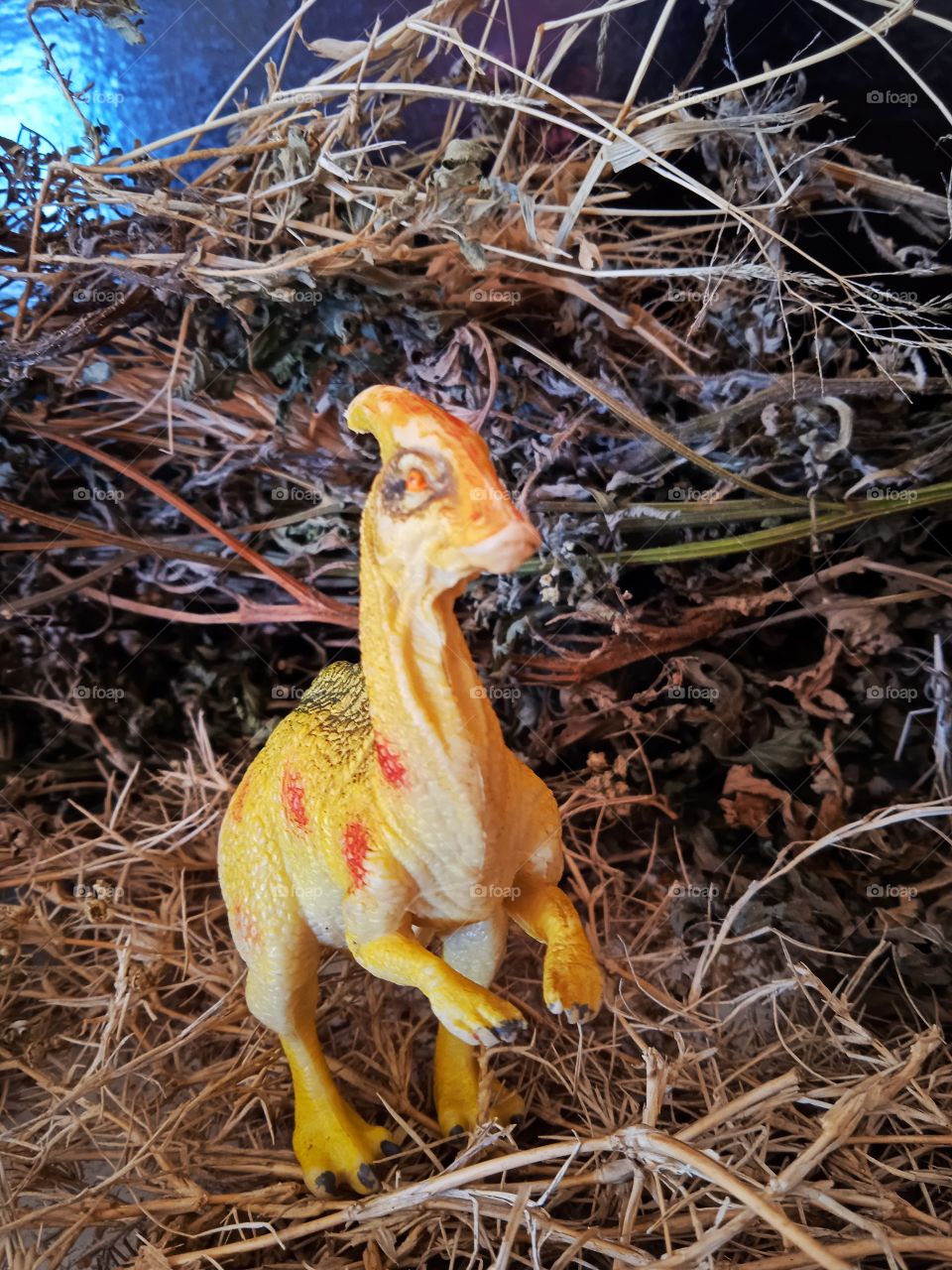 parasaurolophus