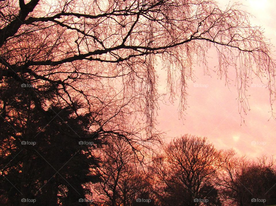 in the park