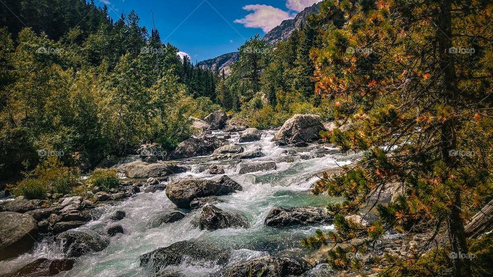 Lively river rushing down the mountain face.