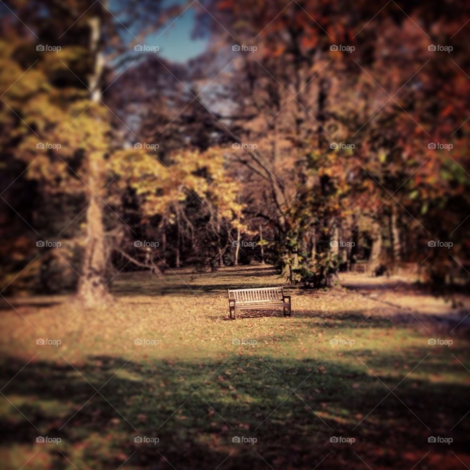 Bench