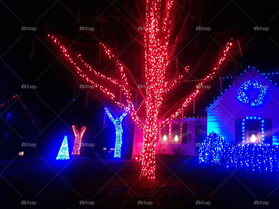 Red Lighted Christmas Tree