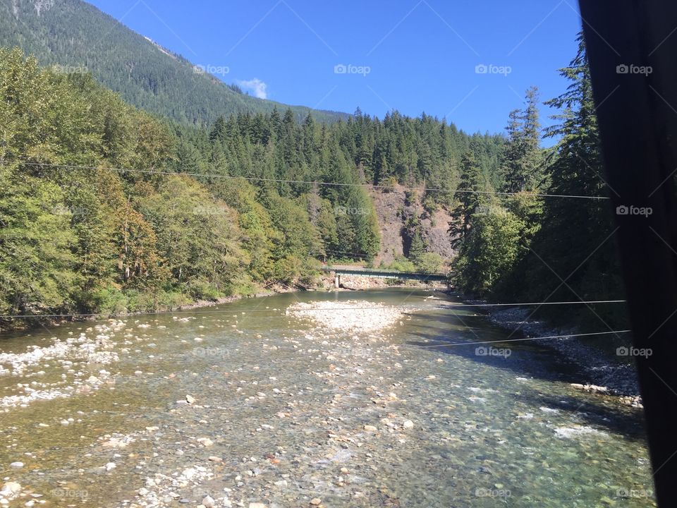 Water, Landscape, River, Tree, Wood