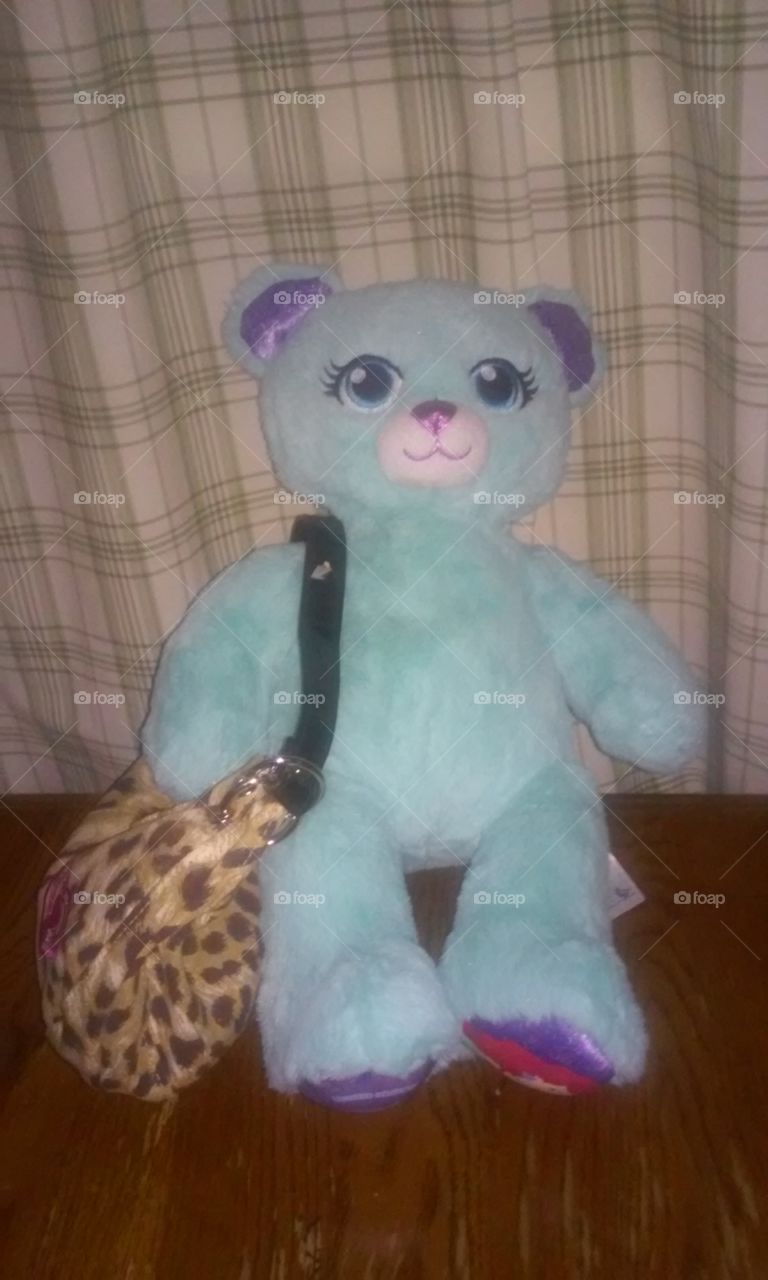 Stuffed Bear with purse