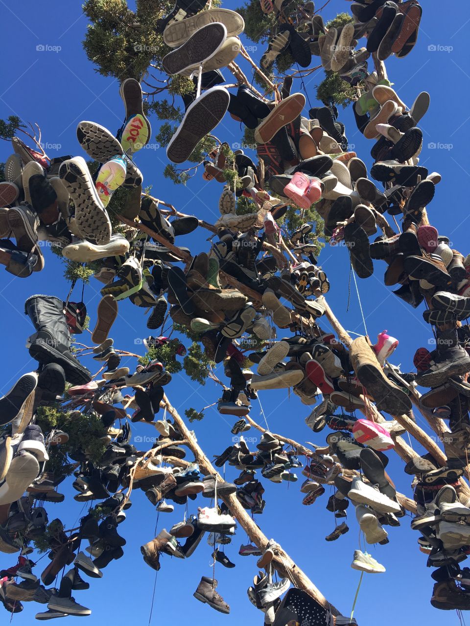 Tree of shoes