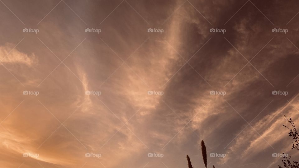 Just casting my eyes at a thick patch of high clouds in the sky and taking a pic I can barely make a creature face. 