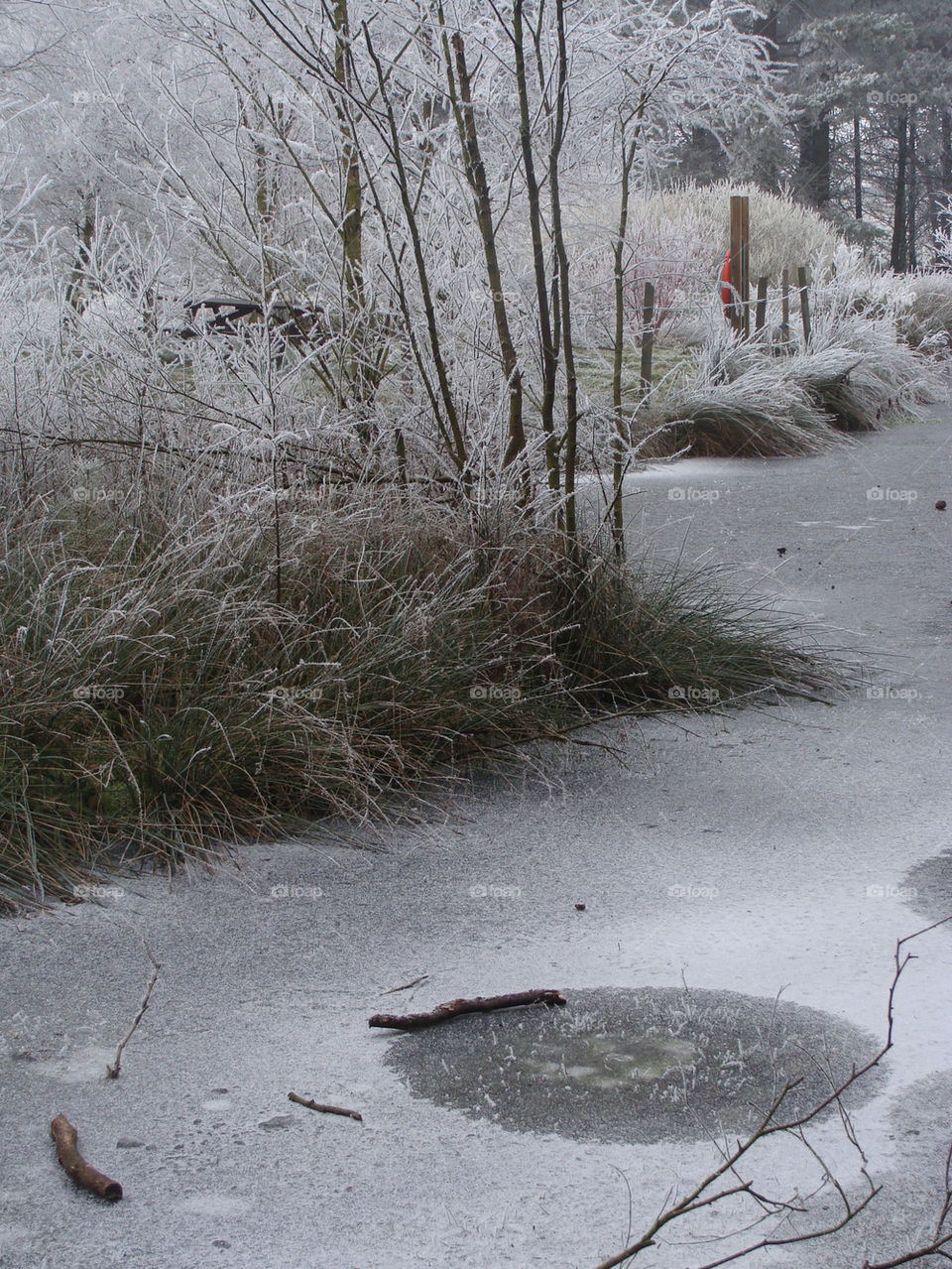 snow winter ice cold by emmam