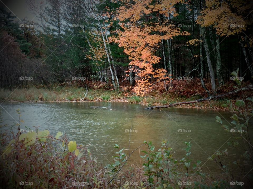 Northern Michigan 