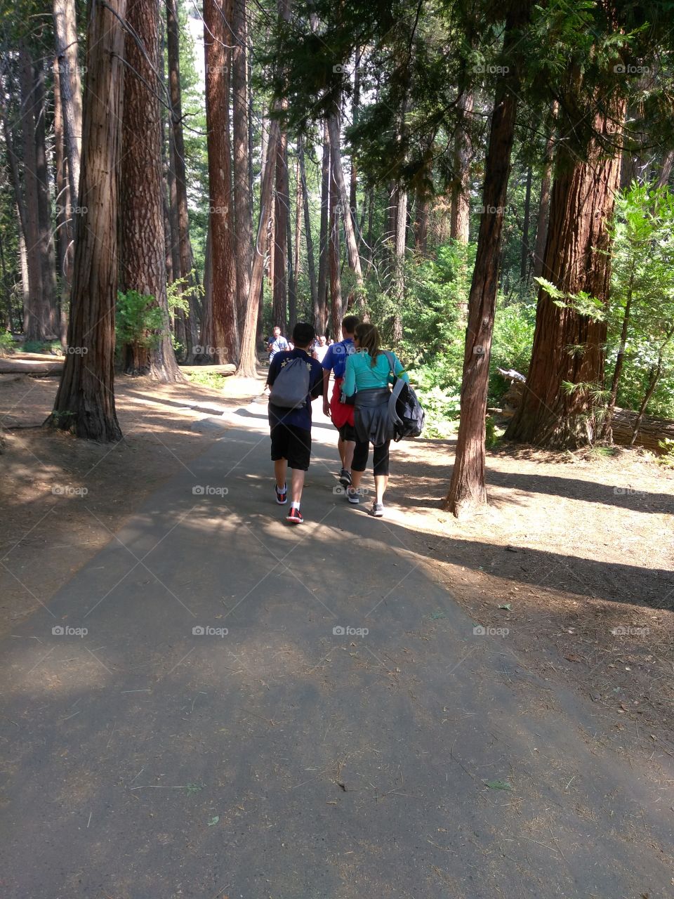 Hiking in Yosemite