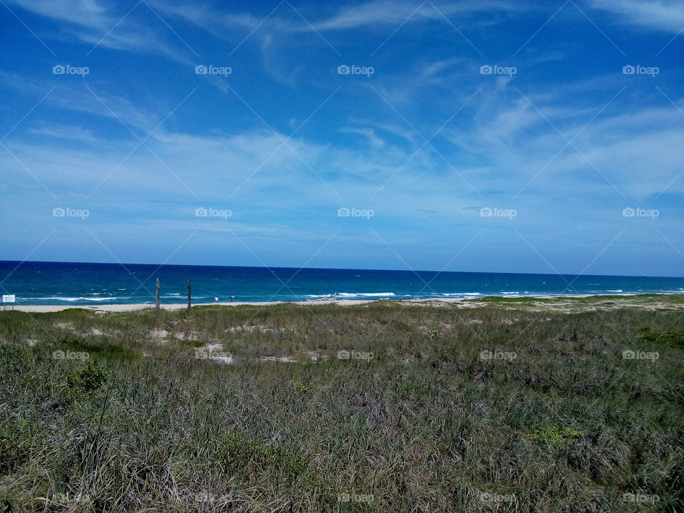 Contrasting colors, textures