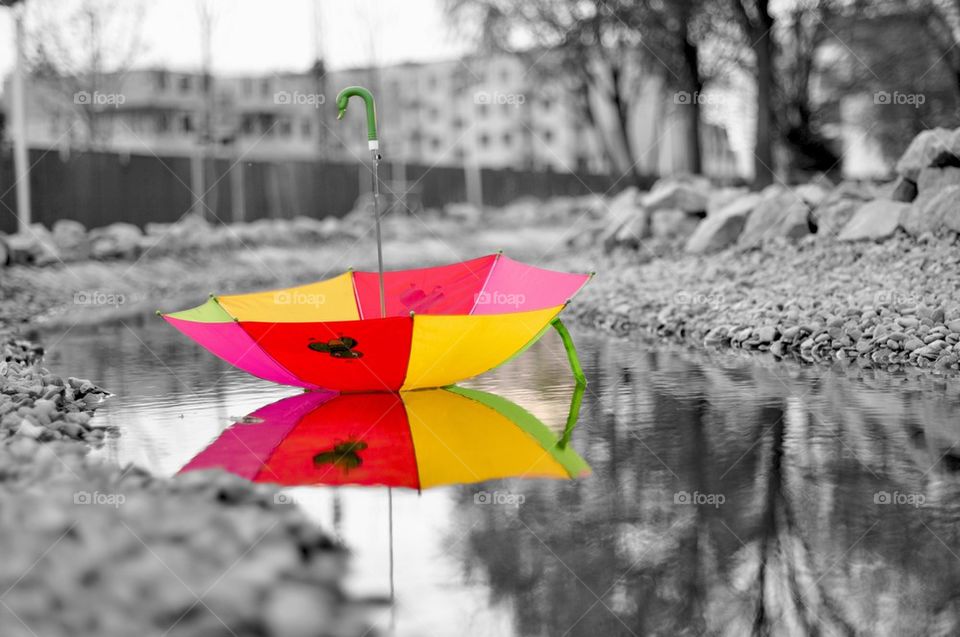 Umbrella on empty road