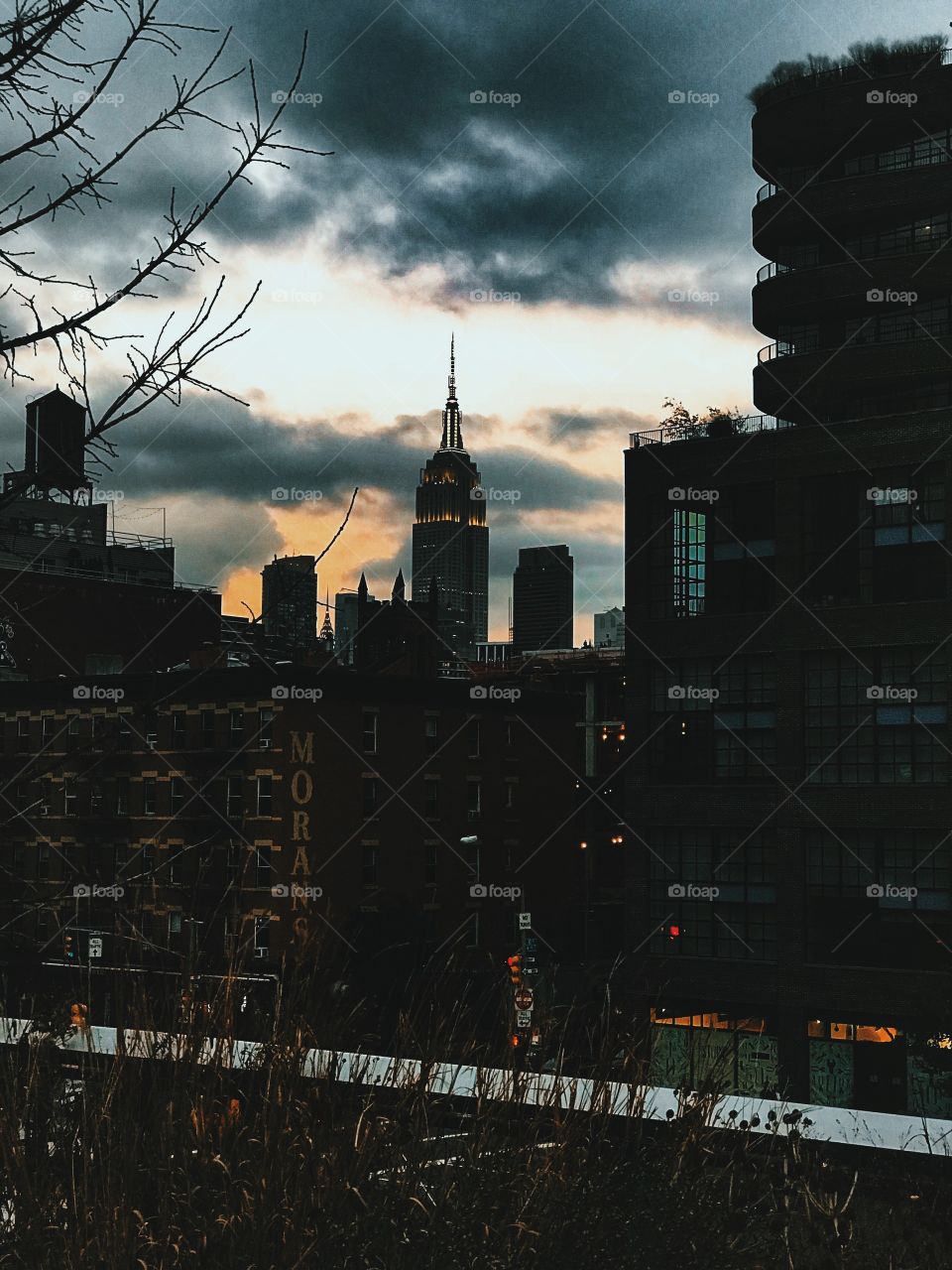 View of the Chrysler building from the highline