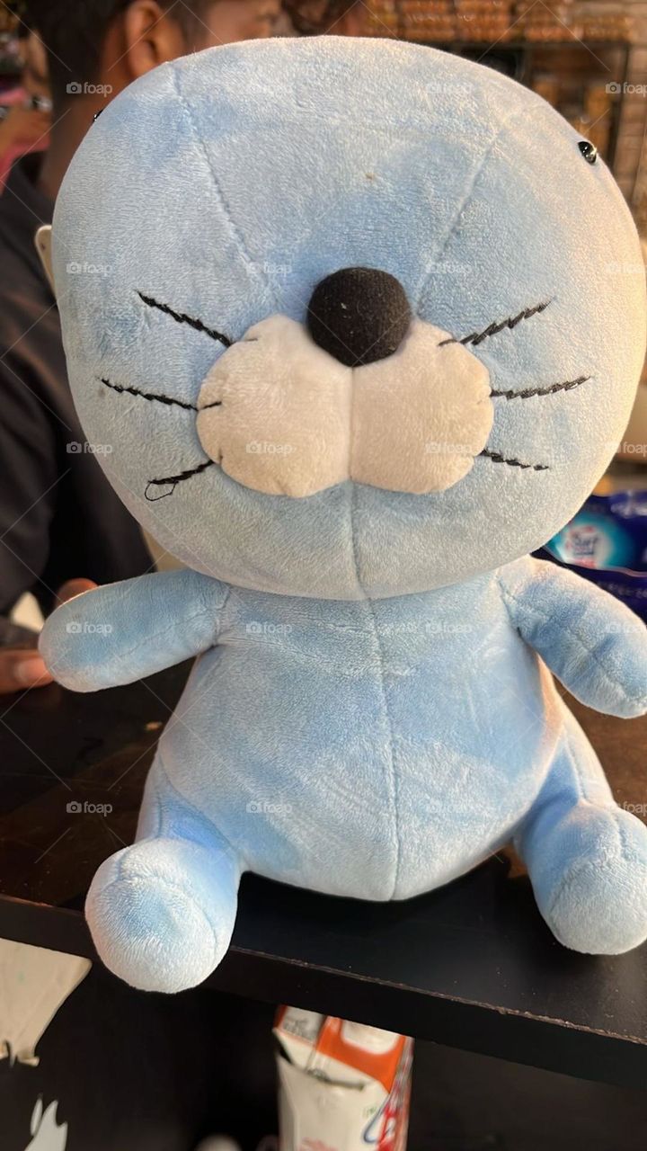 teddy 🧸🧸 with small eyes having large body which make it different from others