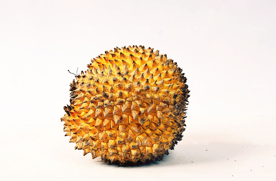 durian