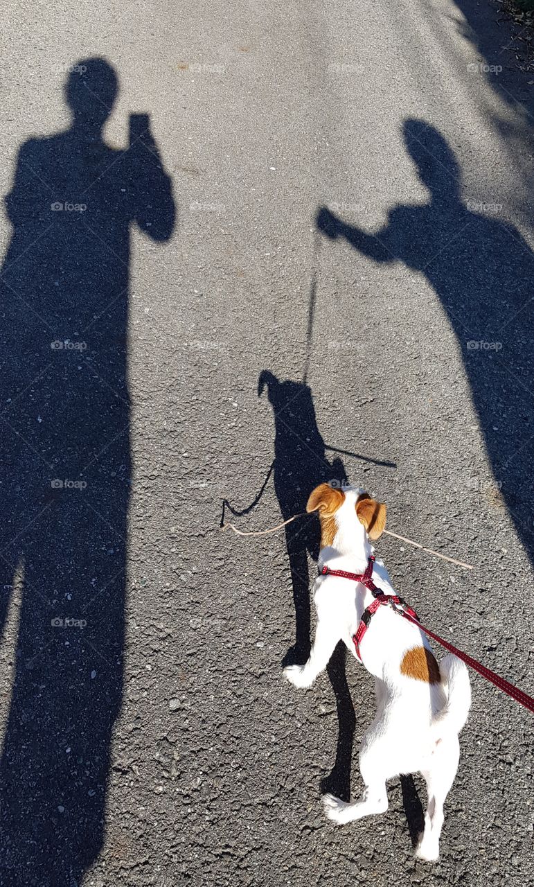 Walking with our dog