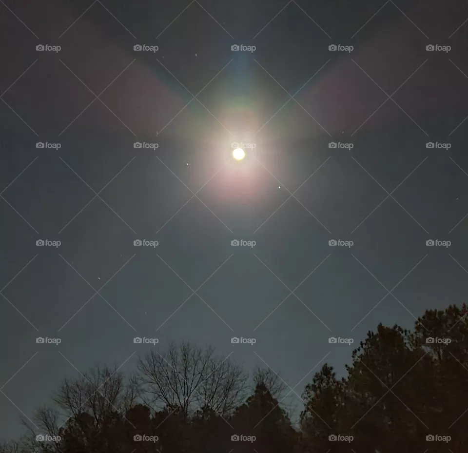 Lights of the Wolf Moon
