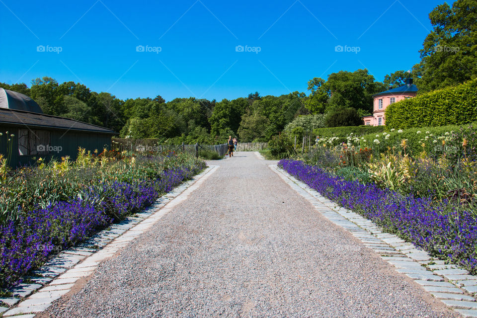 Walk in the park