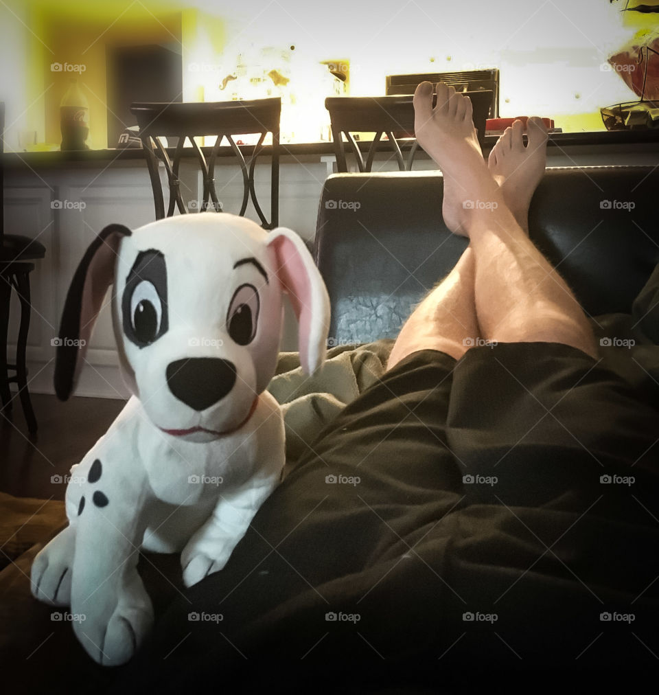 afternoon naps can leave you waking up to eerie placed stuffed animals.