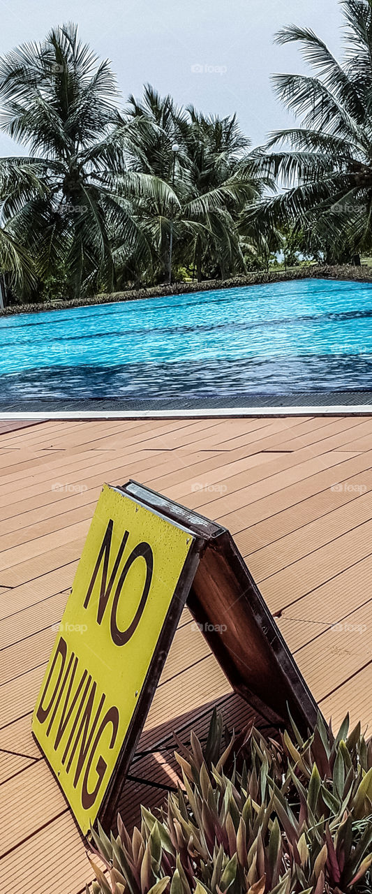 No Diving