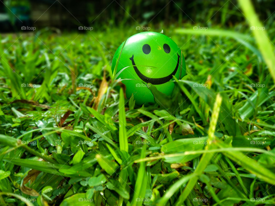 Today morning Exercise ball with,buffalo grass