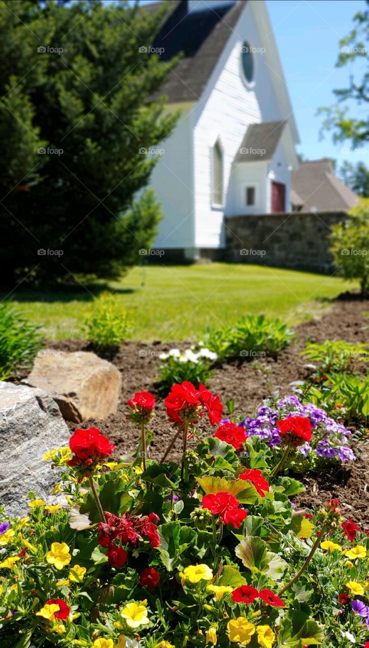 Springtime Flowers!