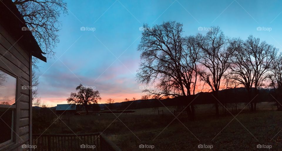 Tree, Fall, Landscape, Dawn, Sunset