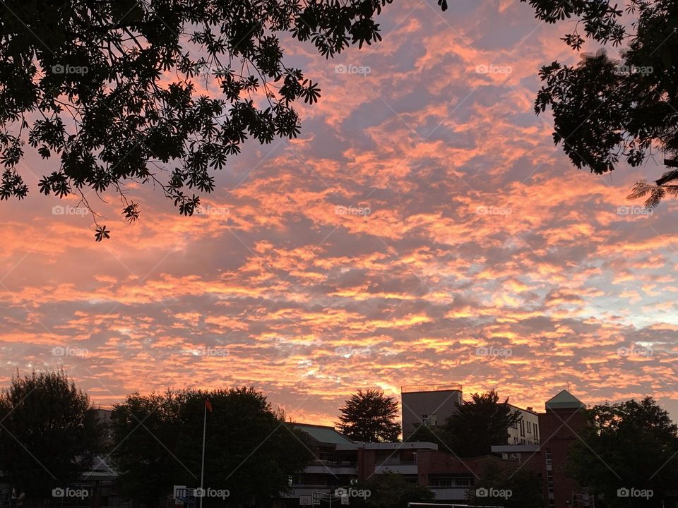 The calm before the storm